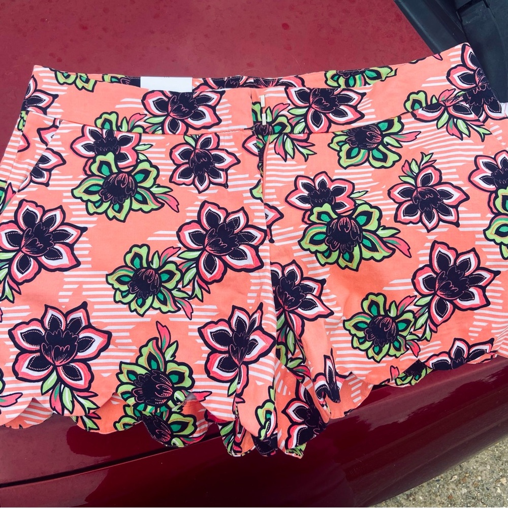 Women size 10 shorts